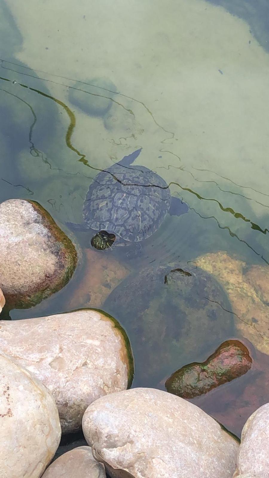 Pousada Vo Lica Com Piscina Penha  Exteriör bild